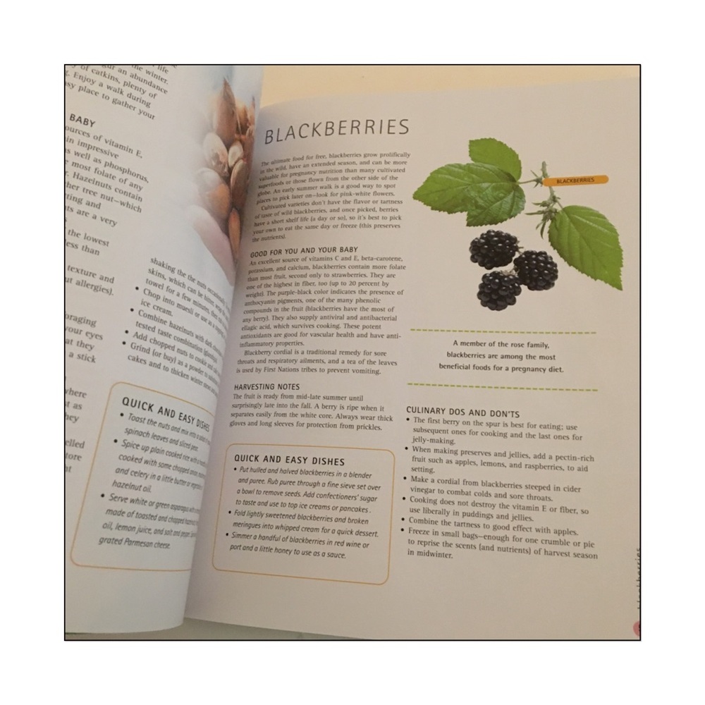 ๐ Super Foods for Pregnancy- Susannah Marriott - Picture 3 of 8